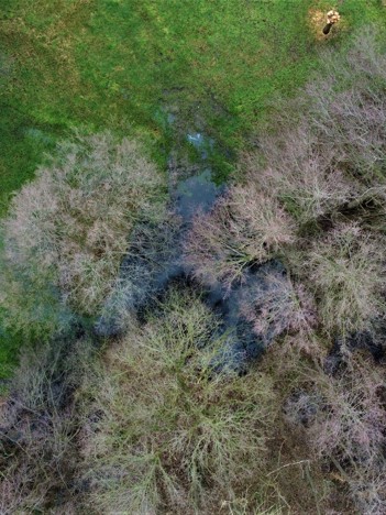 Collega's in de natuur