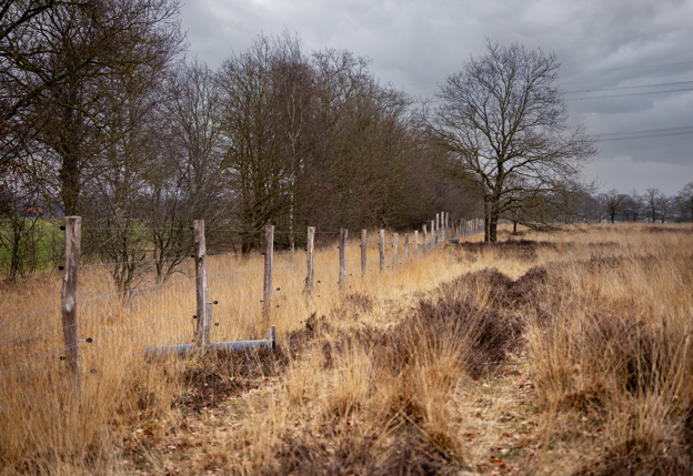Natuur in Overijssel.