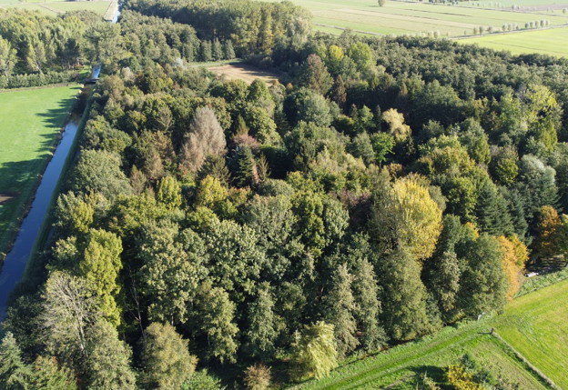 Verschillende stukken natuur in de provincie zijn op beide afbeeldingen te zien. Op de eerste afbeelding een foto van een bos van bovenaf en op de tweede foto een landschap met een aantal zonnebloemen.