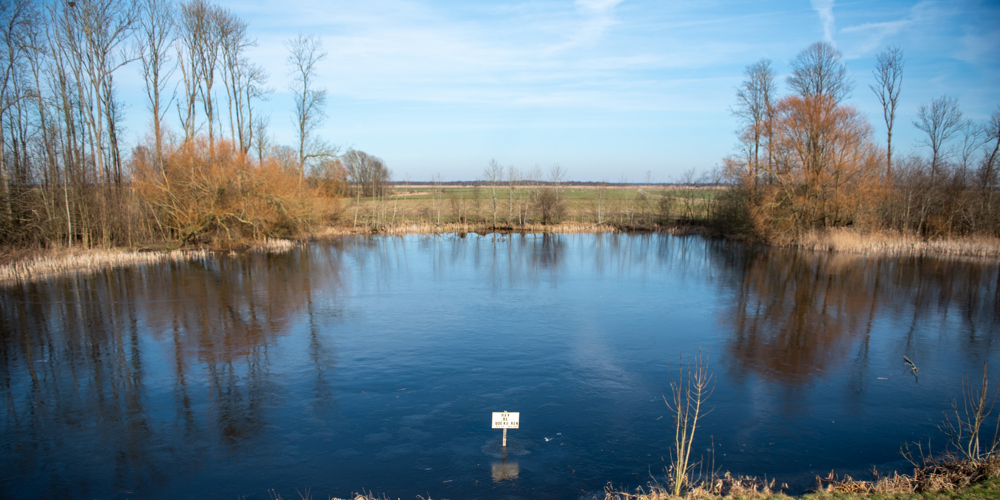 Baarlingerpolder, een polder met groen en natuur is op de afbeelding te zien.