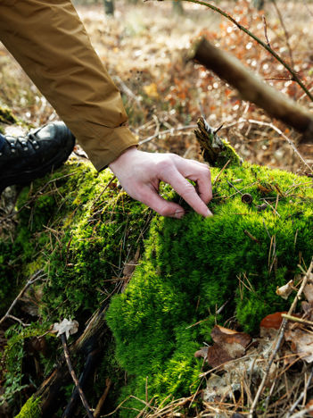 Op de eerste foto is een close up te zien van de hand van collega Rutger die mos aanraakt in het bos en de tweede afbeelding is een portret foto van Rutger.